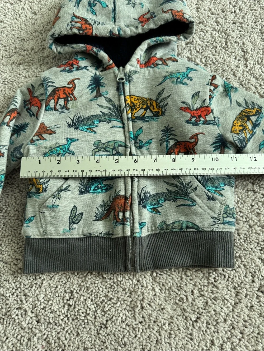 The Children's Place Boy Toddler Long Sleeve Sherpa Lined Hoodie Size 18-24M
